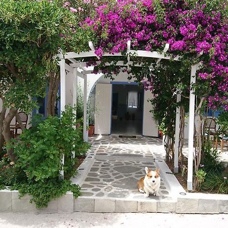 Panorama Paros Hotel Екстериор снимка