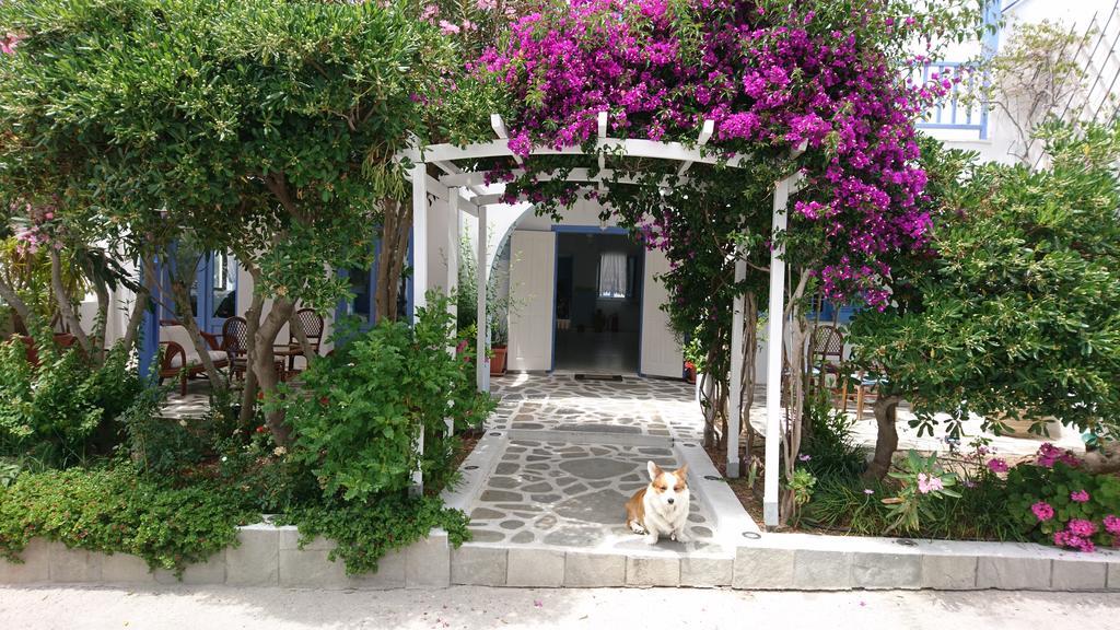 Panorama Paros Hotel Екстериор снимка